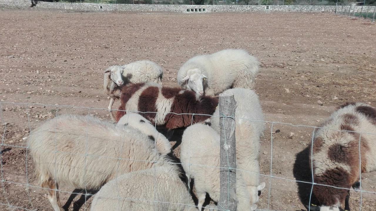 Sa Granja Villa Arta Bagian luar foto