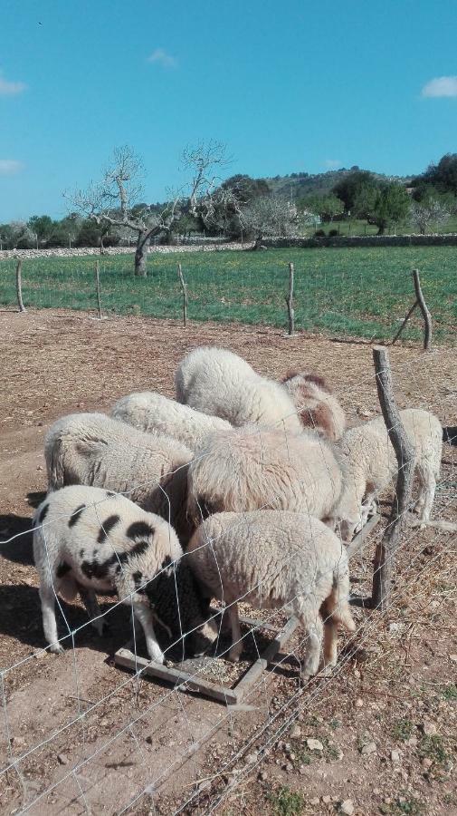 Sa Granja Villa Arta Bagian luar foto